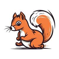 Squirrel. Vector illustration of a squirrel on a white background.