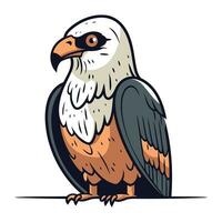 calvo águila vector ilustración aislado en blanco antecedentes. dibujos animados estilo.
