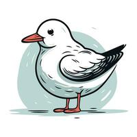 Vector illustration of a seagull on a white background. Vector illustration.