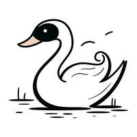 Swan in the water. Vector illustration on a white background.