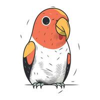 Parrot isolated on white background. Vector illustration in sketch style.