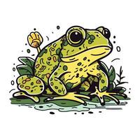 Frog vector illustration. Isolated on a white background. Vector illustration.