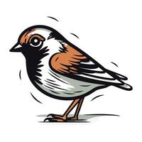 Sparrow vector illustration. Isolated on a white background.