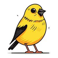 Vector illustration of a cute little yellow bird isolated on white background.