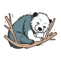 Panda sleeping on a tree branch. Vector illustration isolated on white background.