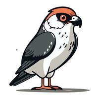 Red necked falcon in cartoon style. Vector illustration.
