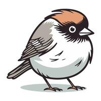 Sparrow isolated on white background. Hand drawn vector illustration.