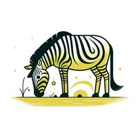 Zebra in the savannah. Vector illustration for your design.