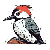 Hand drawn vector illustration of a red backed woodpecker.