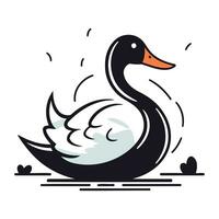 Vector illustration of a black swan swimming on a white background.