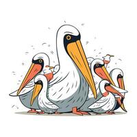 Pelican family. Cartoon vector illustration of pelican family.