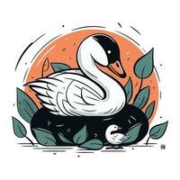 Vector hand drawn illustration of a swan with a duckling.