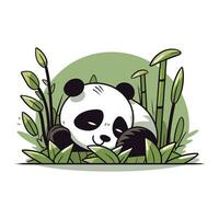 linda panda oso dormido en el bambú bosque. vector ilustración.