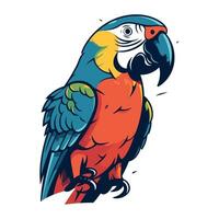 Colorful parrot isolated on a white background. Vector illustration.