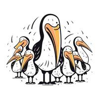 Pelican family. Hand drawn vector illustration isolated on white background.