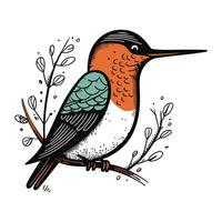 Kingfisher bird on branch. Hand drawn vector illustration in vintage style.