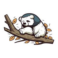 Panda bear sleeping on a tree branch. Vector illustration isolated on white background.