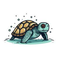 Vector illustration of a cute cartoon turtle on a white background. Vector illustration