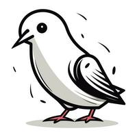Paloma pájaro vector ilustración en blanco antecedentes. eps10