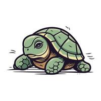 Cartoon turtle. Vector illustration of a tortoise on a white background.