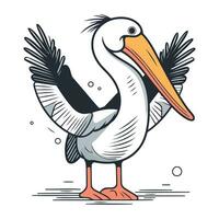 Pelican vector illustration. Cartoon pelican isolated on white background