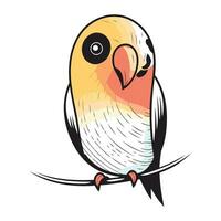 Cute parrot isolated on white background. Hand drawn vector illustration.