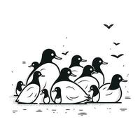 Duck family. Black and white vector illustration isolated on white background.