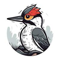 Black backed Woodpecker   woodpecker. vector illustration