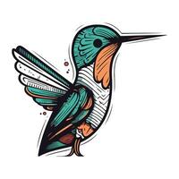 Hummingbird vector illustration. Hand drawn doodle bird.