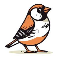 Bullfinch isolated on white background. Hand drawn vector illustration.