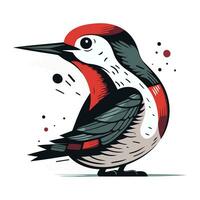 Woodpecker vector illustration. Isolated on a white background.