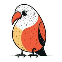 Vector illustration of a red parrot isolated on a white background.