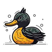Duck vector illustration. Isolated duck on a white background.