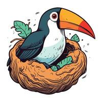 Cute cartoon toucan bird sitting in nest. Vector illustration.