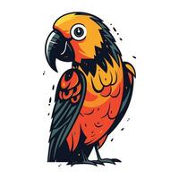 Colorful parrot isolated on a white background. Vector illustration.