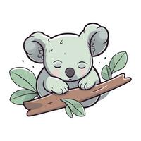 Cute koala sleeping on a branch. Vector cartoon illustration.