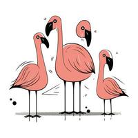 Flamingo. Hand drawn vector illustration isolated on white background.