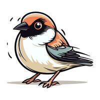 Bullfinch bird. Vector illustration of a bullfinch.