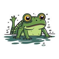Frog cartoon. Vector illustration. Isolated on white background.