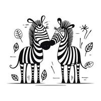 Zebra couple isolated on white background. Black and white vector illustration.