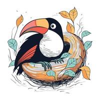 Hand drawn toucan sitting on a nest with leaves. Vector illustration.