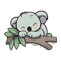 Cute koala sleeping on a tree branch. Vector illustration.