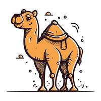 camello. vector ilustración de un camello. mano dibujado camello.