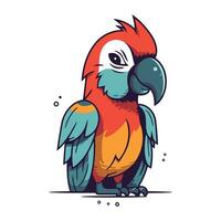 Cute colorful macaw parrot. Vector illustration isolated on white background.