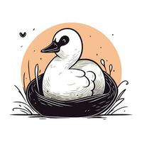 Vector hand drawn illustration of a baby swan in a nest.