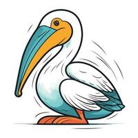 Pelican vector illustration isolated on white background in cartoon style.