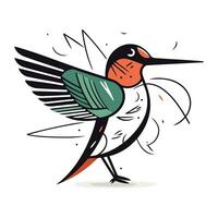 Hummingbird. Hand drawn vector illustration. Isolated on white background.