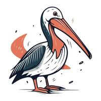 Pelican vector illustration. Hand drawn sketch of pelican.