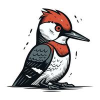 Vector image of a woodpecker. Hand drawn vector illustration.