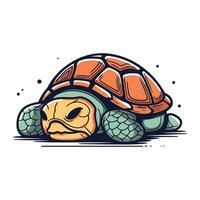 Turtle isolated on white background. Vector illustration in cartoon style.